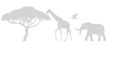 Wild Giants Tours and Safaris
