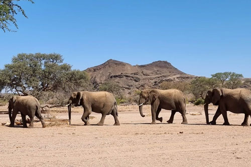 Ongongo Conservancy
